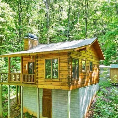 Open Studio Lodge At Little Rock Creek Cherry Log 外观 照片